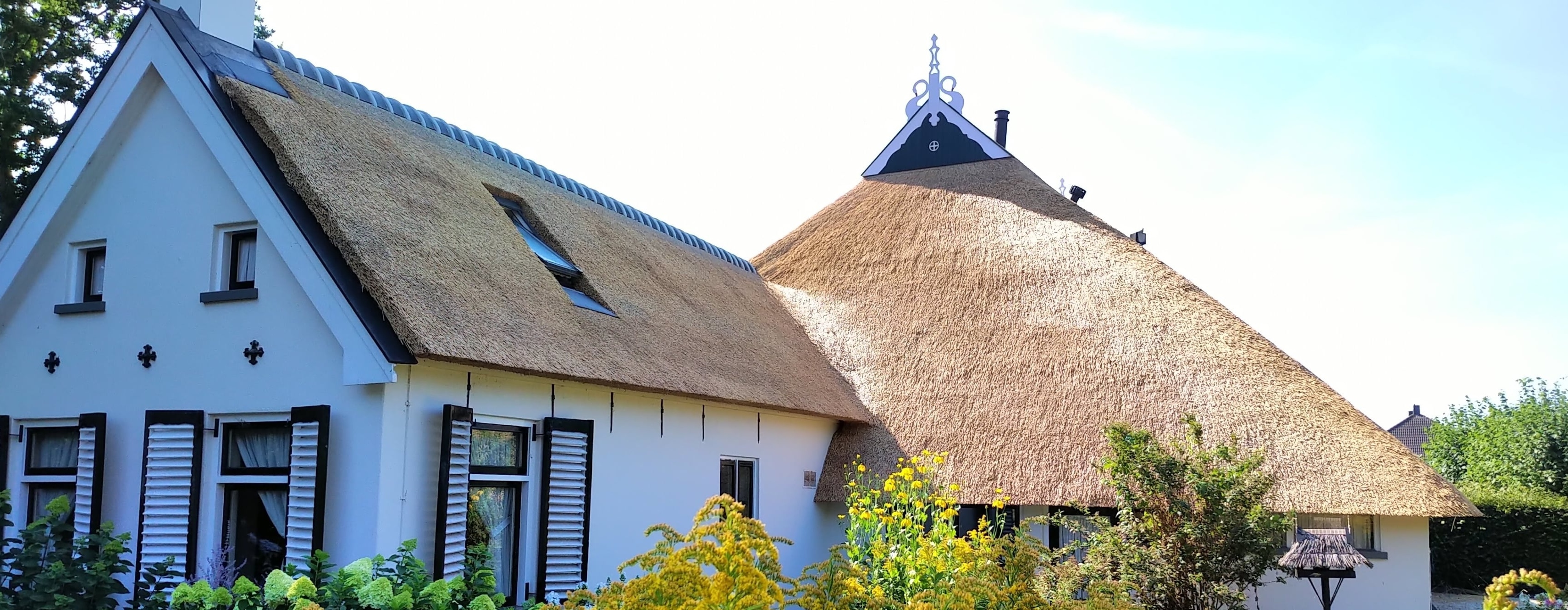 Goed onderhoud is een must voor uw rieten dak